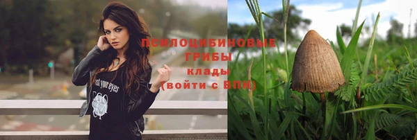 молекула духа Костерёво