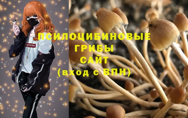 молекула духа Коряжма