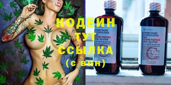 молекула духа Коряжма