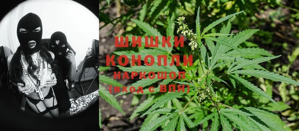 молекула духа Костерёво