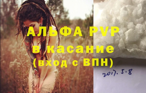 молекула духа Костерёво