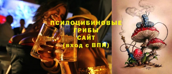 молекула духа Костерёво